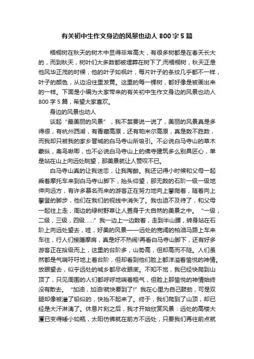 有关初中生作文身边的风景也动人800字5篇