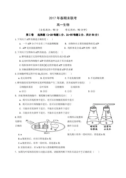 2016-2017学年第二学期高一生物期末试题及答案 (3)