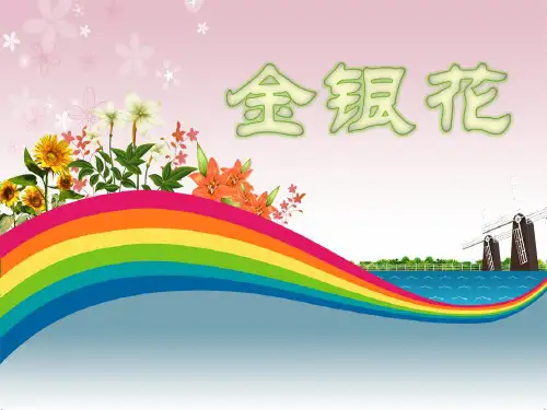 金银花