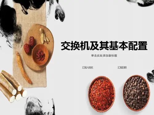 交换机及其基本配置