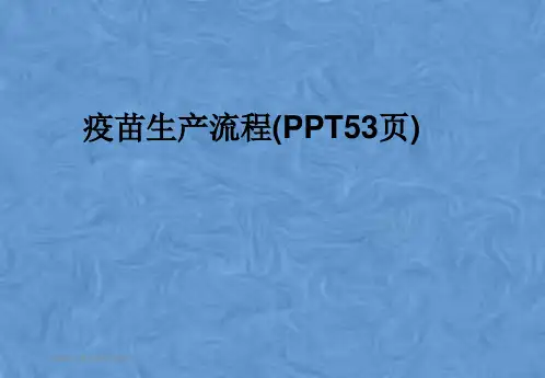 疫苗生产流程(PPT53页)