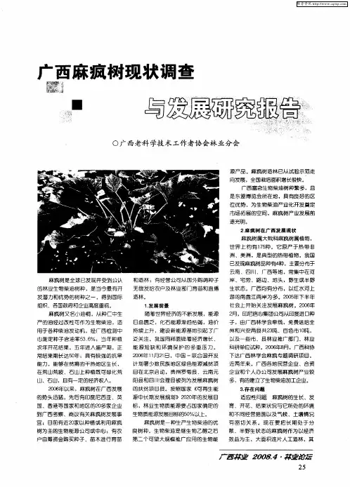 广西麻疯树现状调查与发展研究报告