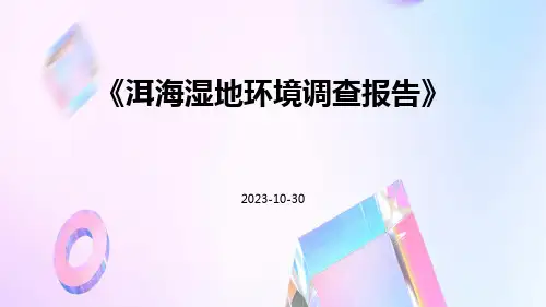 洱海湿地环境调查报告