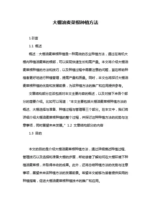 大棚油麦菜根种植方法