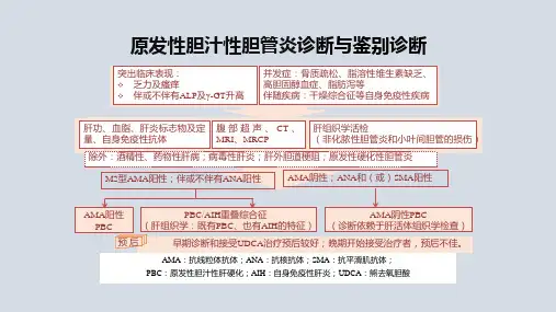 原发性胆汁性胆管炎诊断与鉴别诊断