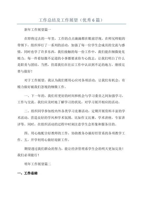 工作总结及工作展望(优秀6篇)