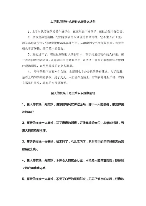 上学时,我在什么在什么在什么造句二年级 夏天的夜晚十分美妙不不好像造句
