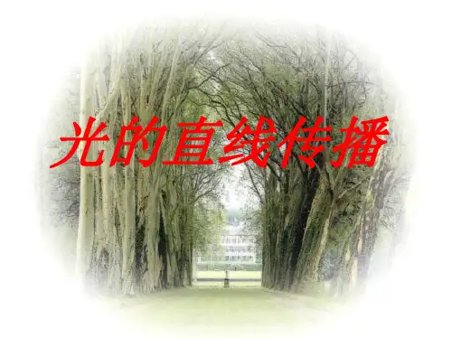 新人教版八年级物理上册4.1 光的直线传播 精品课件(共29张PPT)