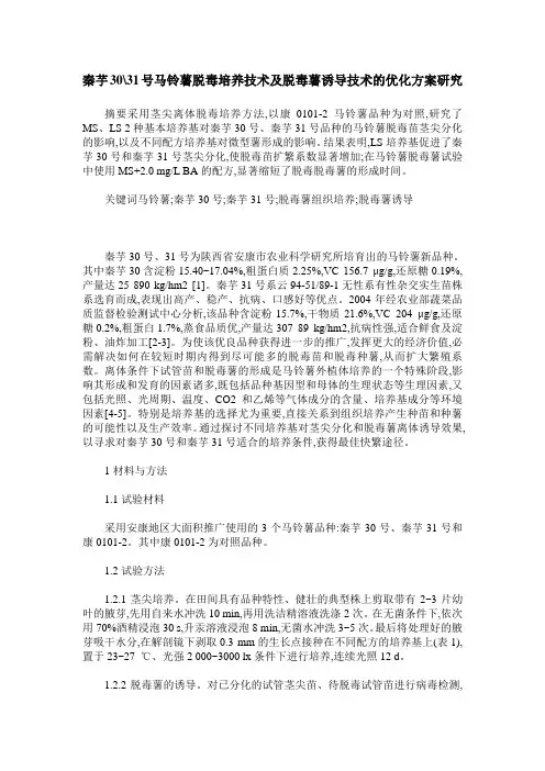 秦芋30-31号马铃薯脱毒培养技术及脱毒薯诱导技术的优化方案研究