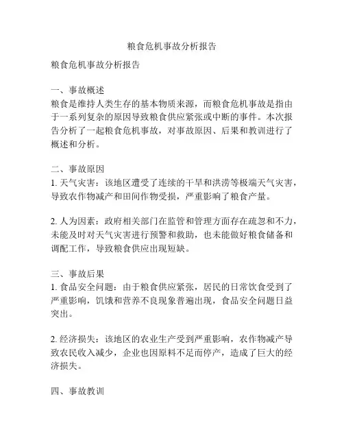 粮食危机事故分析报告