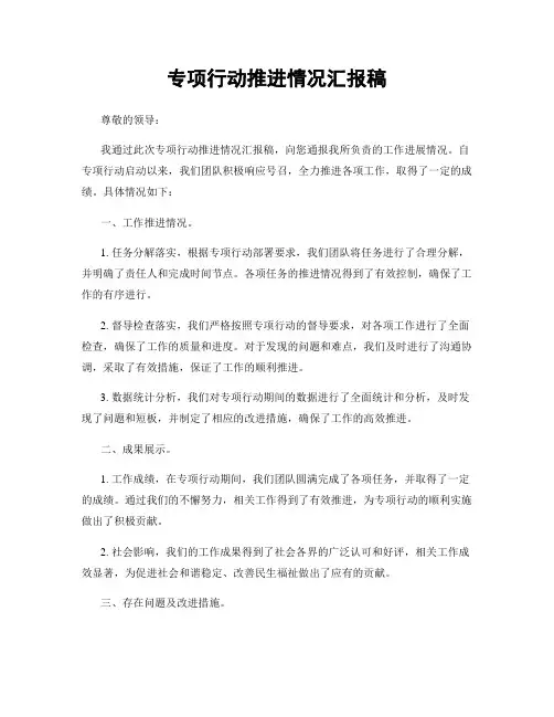专项行动推进情况汇报稿