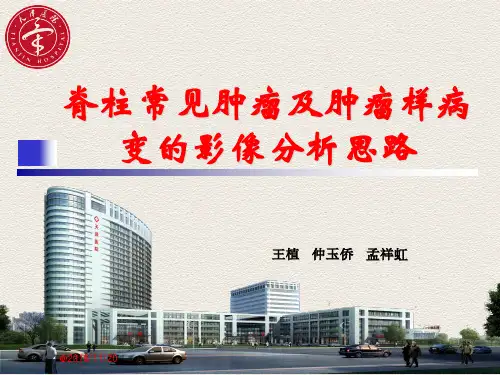 脊柱常见肿瘤及肿瘤样病变的影像分析思路--天津医院