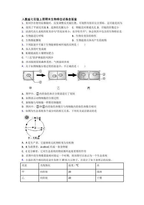 人教版七年级上册期末生物综合试卷含答案