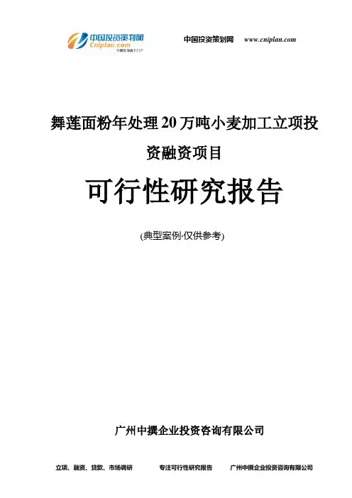 舞莲面粉年处理20万吨小麦加工融资投资立项项目可行性研究报告(非常详细)