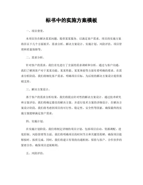 标书中的实施方案模板