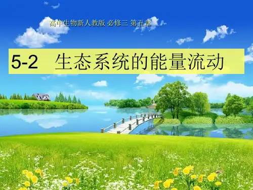 人教版高中生物必修三生态系统的能量流动精品ppt课件