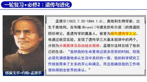 高三生物一轮复习课件基因的分离定律