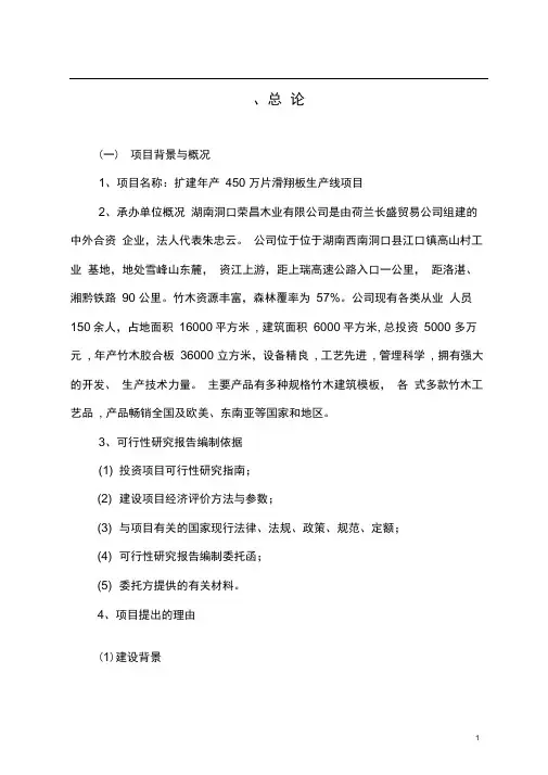 年产450万片滑翔板生产线项目可行性研究报告