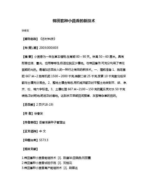 棉田套种小茴香的新技术