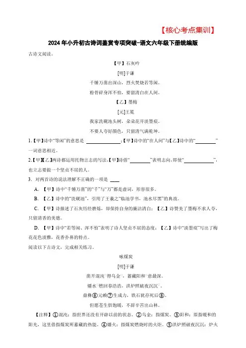 2024年小升初【核心考点集训】古诗词鉴赏专项突破-(含答案)