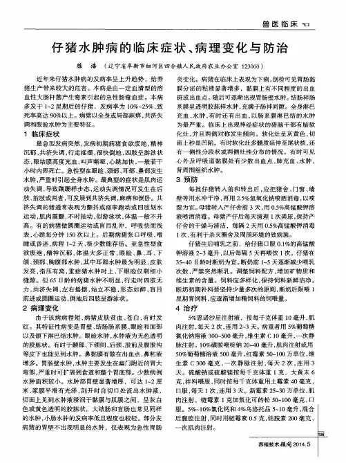仔猪水肿病的临床症状、病理变化与防治