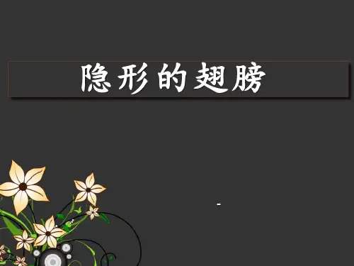 202X春人教版音乐九下第6单元《隐形的翅膀》ppt课件