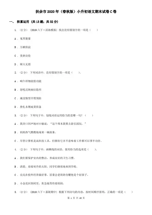 扶余市2020年(春秋版)小升初语文期末试卷C卷