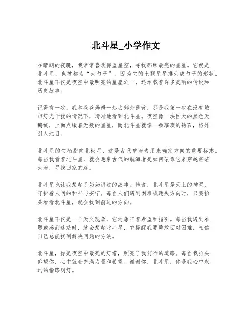 北斗星_小学作文