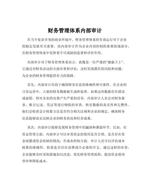 财务管理体系内部审计