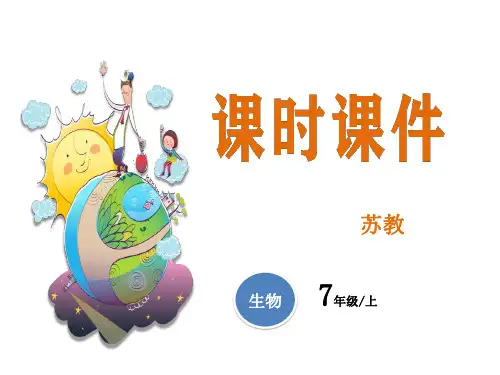苏教版七年级上册生物教学课件 植物茎的输导功能