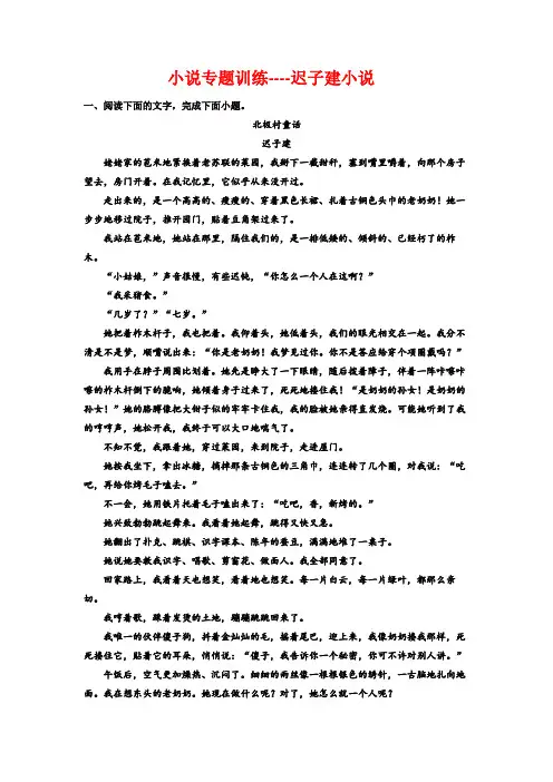 高考语文复习：小说专题训练——迟子建小说