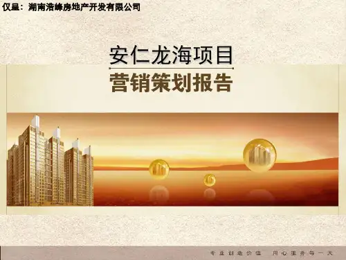龙海项目全程整合营销策划报告