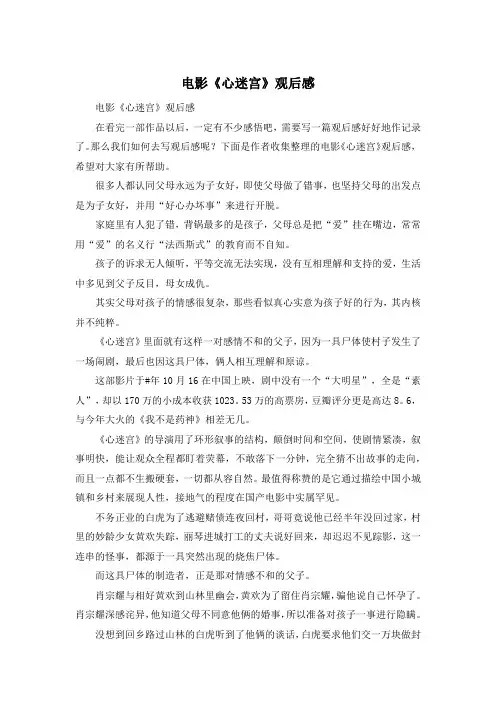 电影《心迷宫》观后感