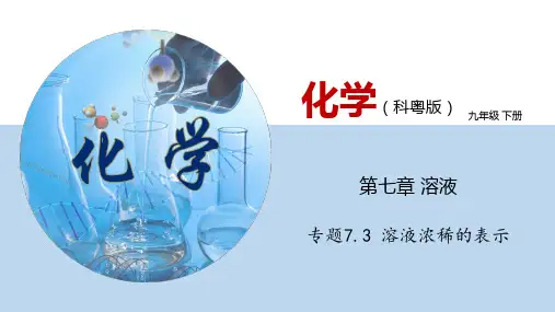 溶液浓稀的表示 课件 (共49张 内嵌视频) 九年级化学下册(粤教版)