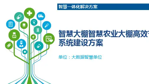 智慧大棚智慧农业大棚高效节水灌溉系统建设方案