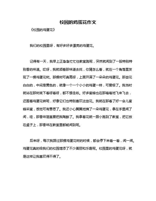 校园的鸡蛋花作文