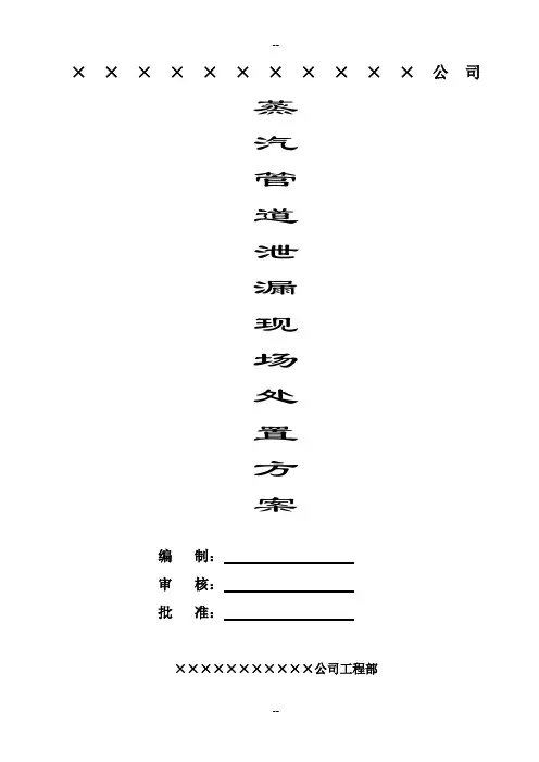 蒸汽管道泄漏现场处置方案