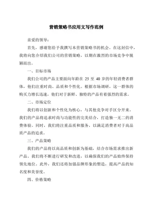 营销策略书应用文写作范例