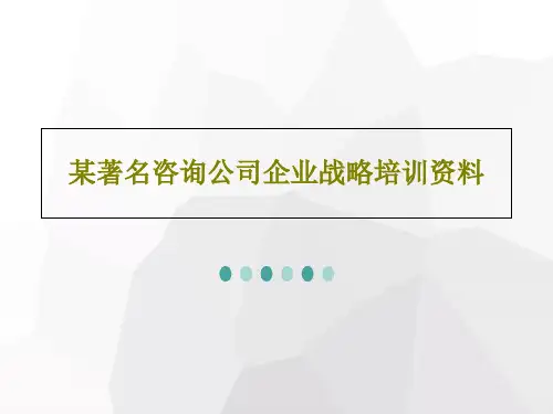 某著名咨询公司企业战略培训资料共31页