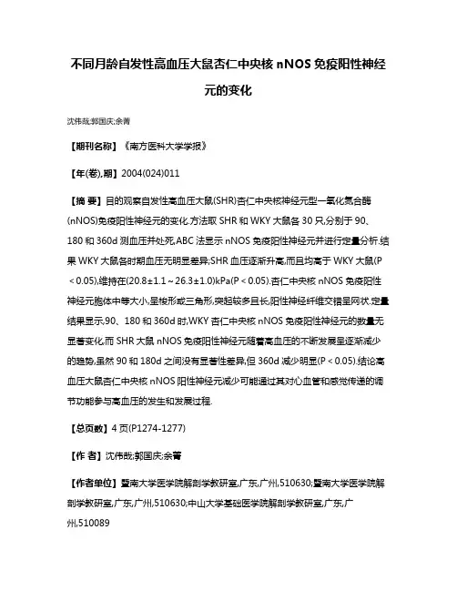 不同月龄自发性高血压大鼠杏仁中央核nNOS免疫阳性神经元的变化