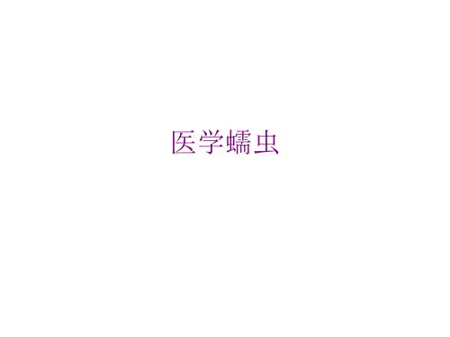 医学蠕虫