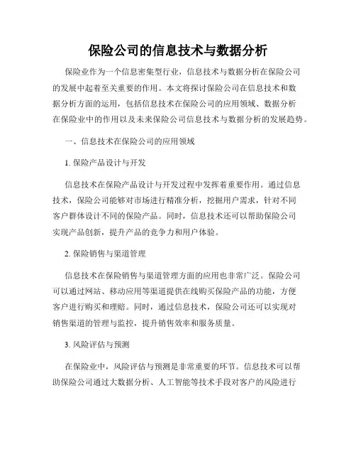 保险公司的信息技术与数据分析