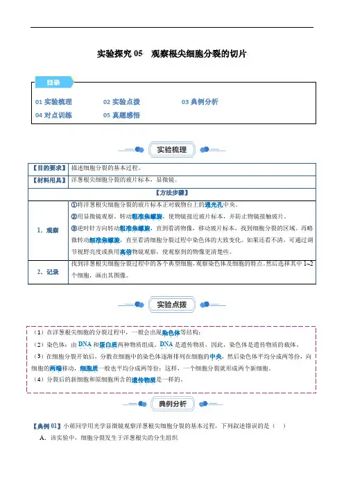 【七年级生物实验】实验探究05  观察根尖细胞分裂的切片(解析版)