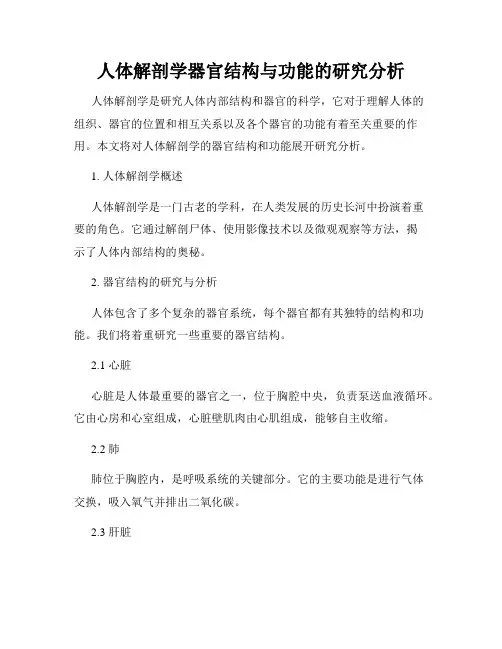 人体解剖学器官结构与功能的研究分析