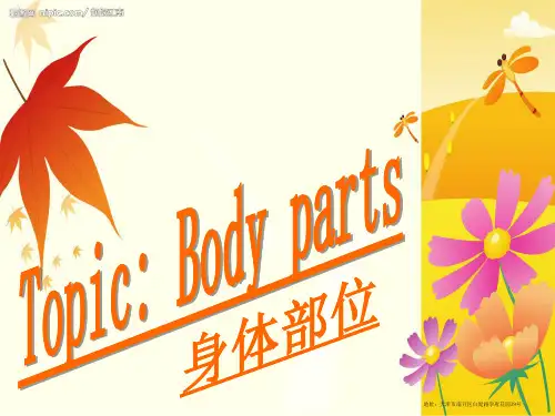 body-parts身体部位介绍(课堂PPT)