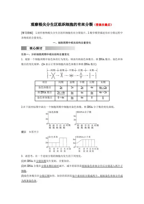 高中生物(必修第一册 人教版)讲义教案：观察根尖分生区组织细胞的有丝分裂(含答案)