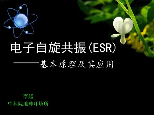 电子自旋共振(ESR)