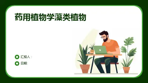 药用植物学藻类植物