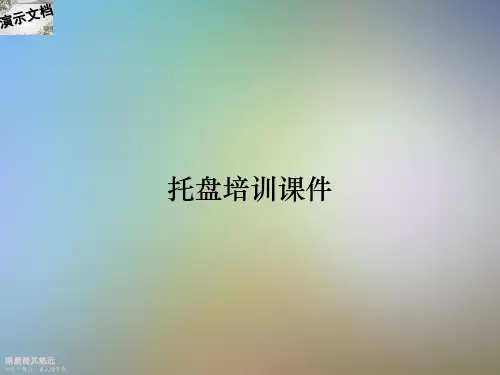 托盘培训课件