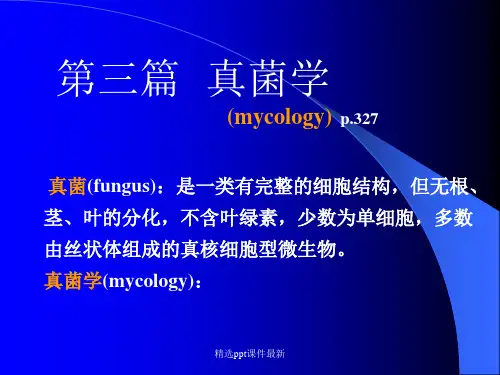 医学微生物学真菌PPT课件